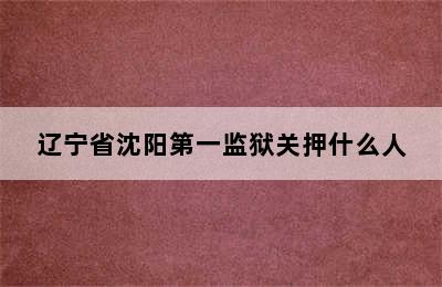 辽宁省沈阳第一监狱关押什么人