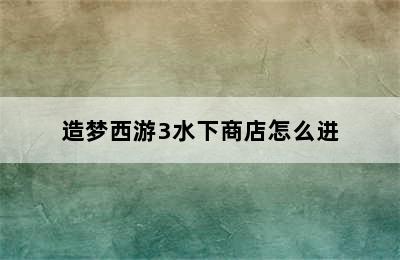 造梦西游3水下商店怎么进