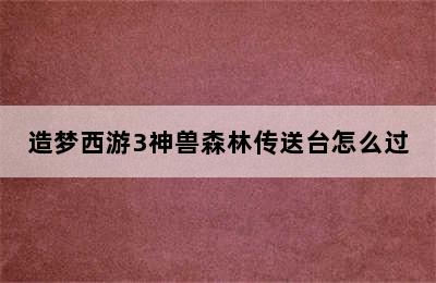 造梦西游3神兽森林传送台怎么过