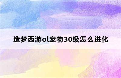 造梦西游ol宠物30级怎么进化