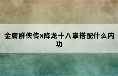 金庸群侠传x降龙十八掌搭配什么内功