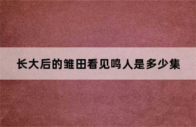 长大后的雏田看见鸣人是多少集