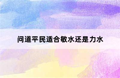 问道平民适合敏水还是力水