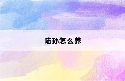 陆孙怎么养