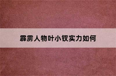 霹雳人物叶小钗实力如何