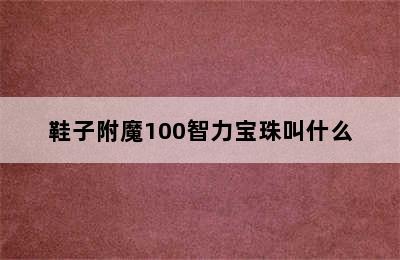 鞋子附魔100智力宝珠叫什么