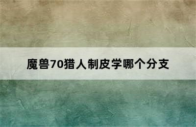 魔兽70猎人制皮学哪个分支