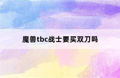 魔兽tbc战士要买双刀吗