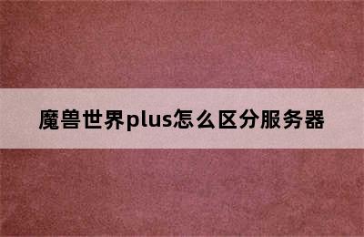 魔兽世界plus怎么区分服务器