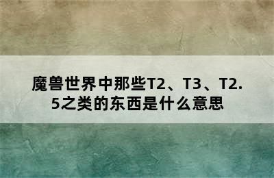 魔兽世界中那些T2、T3、T2.5之类的东西是什么意思