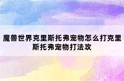 魔兽世界克里斯托弗宠物怎么打克里斯托弗宠物打法攻