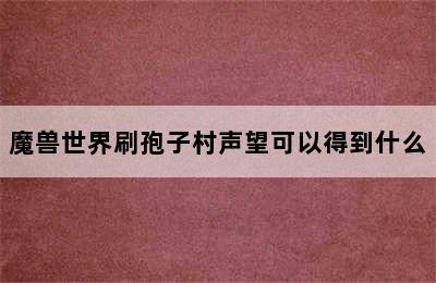 魔兽世界刷孢子村声望可以得到什么