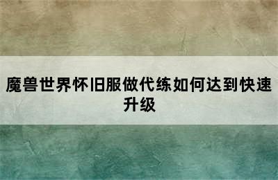 魔兽世界怀旧服做代练如何达到快速升级