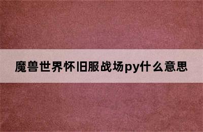 魔兽世界怀旧服战场py什么意思