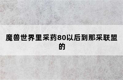 魔兽世界里采药80以后到那采联盟的