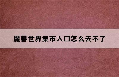 魔兽世界集市入口怎么去不了