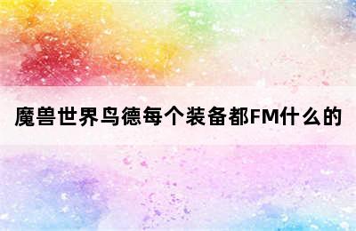 魔兽世界鸟德每个装备都FM什么的