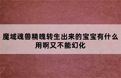 魔域魂兽精魄转生出来的宝宝有什么用啊又不能幻化