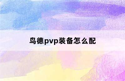 鸟德pvp装备怎么配