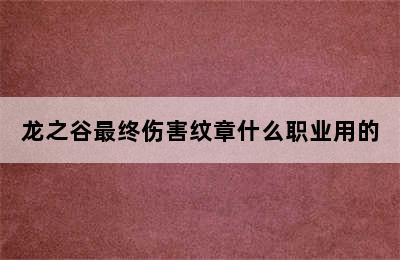 龙之谷最终伤害纹章什么职业用的