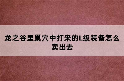 龙之谷里巢穴中打来的L级装备怎么卖出去