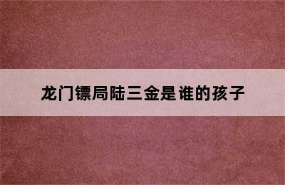 龙门镖局陆三金是谁的孩子